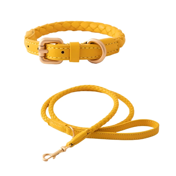 Leather Collar & Lead Set - Leather | PAWD