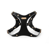 Eco Leather Solid Buckle - 3