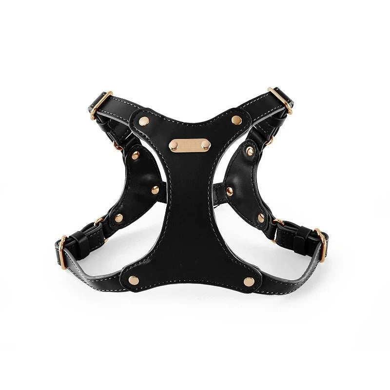 Eco Leather Solid Buckle - 3