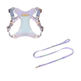 Leather Dog Harness & Lead Set - Leather | PAWD