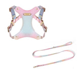 Leather Dog Harness & Lead Set - Leather | PAWD