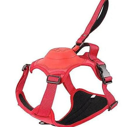 Automatic Retractable Dog Lead | PAWD