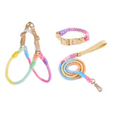 Cotton Collar with Bow Tie & Lead Set - additional view
