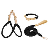 Cotton Collar with Bow Tie & Lead Set - in use