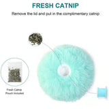 Interactive Cat Toy - Touch & Sound - 5