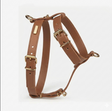 Heritage Leather Harness & Lead Set - 7