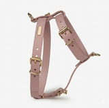 Heritage Leather Harness & Lead Set - 9