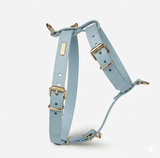 Heritage Leather Harness & Lead Set - 10