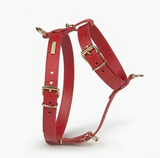 Heritage Leather Harness & Lead Set - 8
