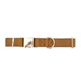 Luxury Adjustable Leather & Stainless Steel Dog Collar - in use