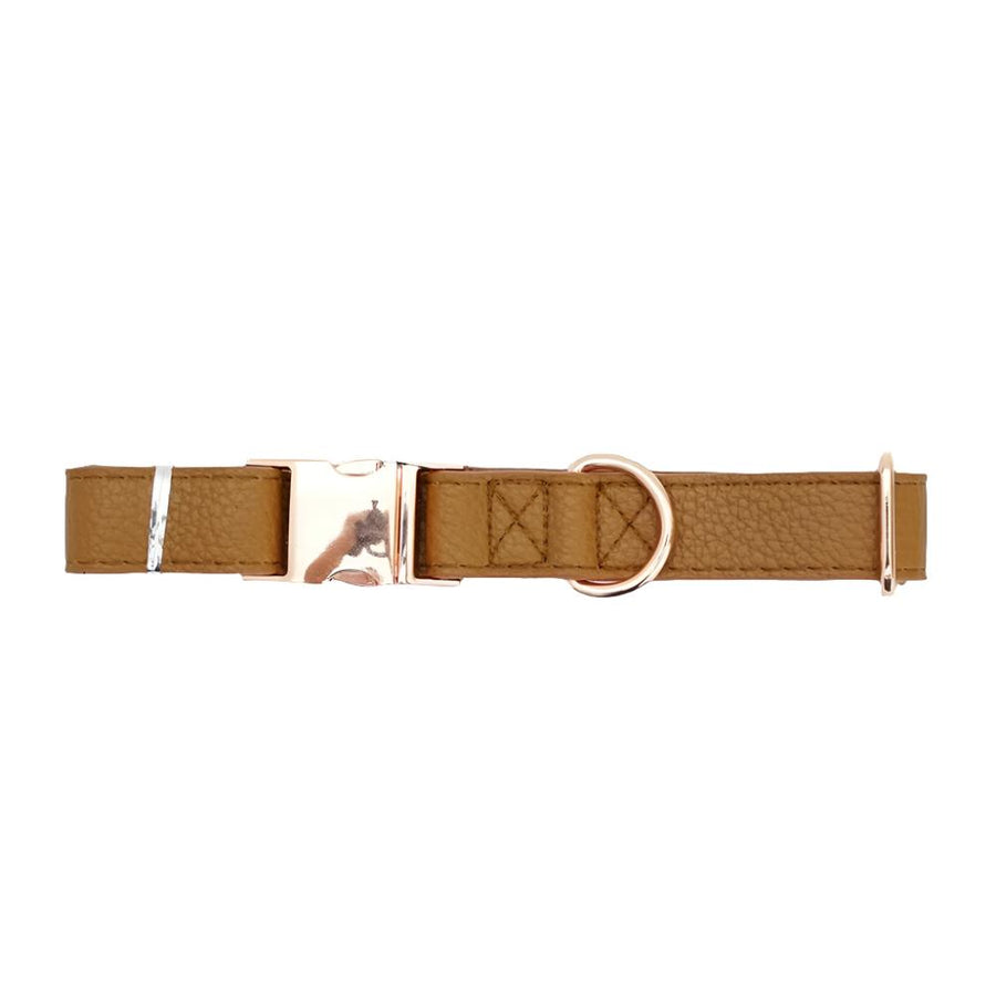 Luxury Adjustable Leather & Stainless Steel Dog Collar - in use