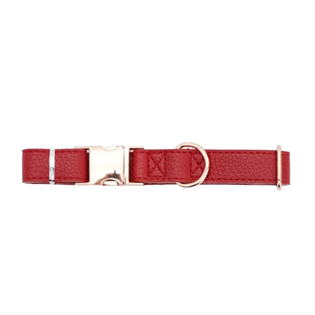 Luxury Adjustable Leather & Stainless Steel Dog Collar - Leather | PAWD
