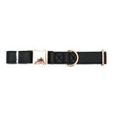 Luxury Adjustable Leather & Stainless Steel Dog Collar - Leather | PAWD