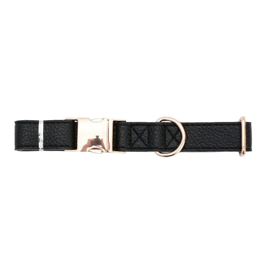 Luxury Adjustable Leather & Stainless Steel Dog Collar - Leather | PAWD