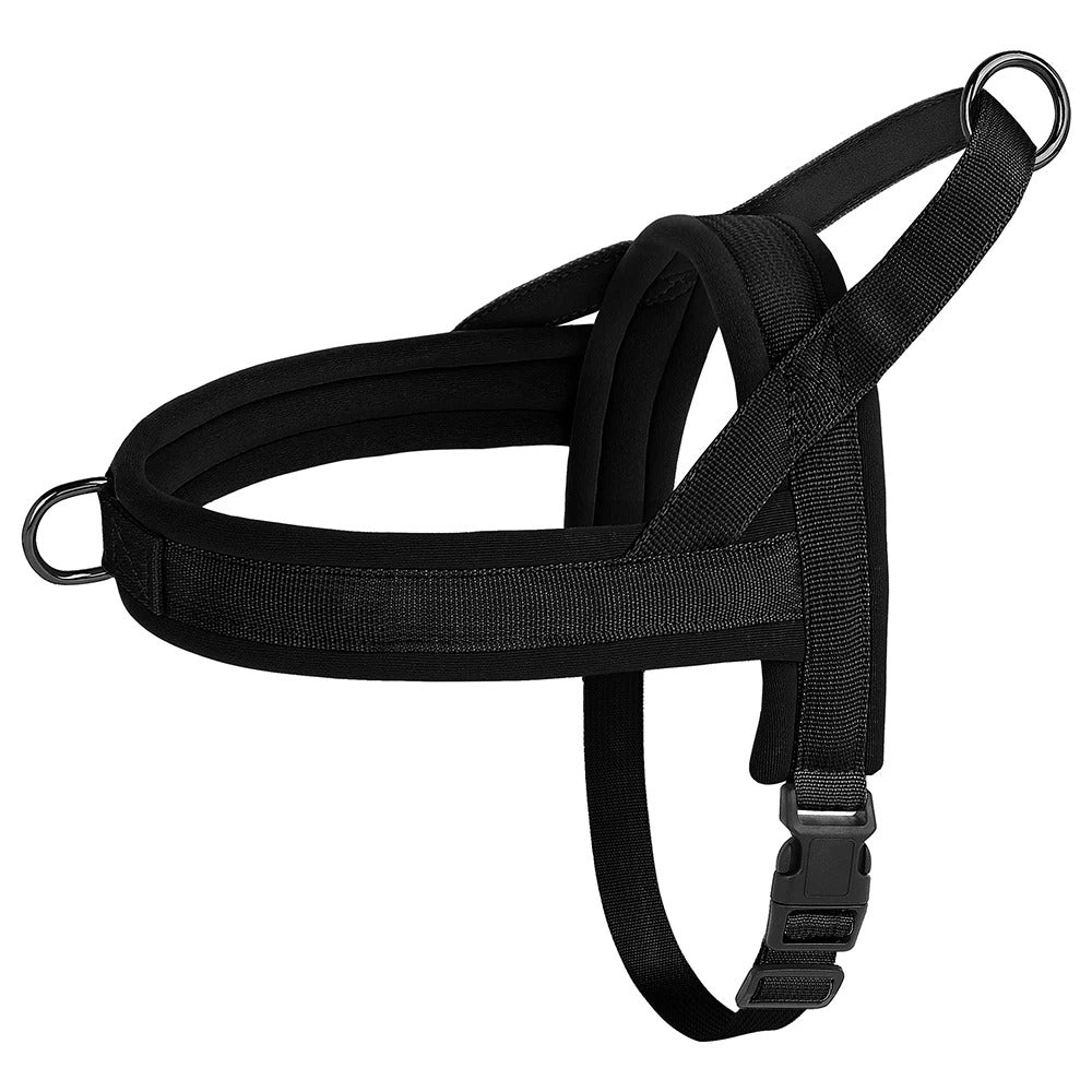 Luxe Padded Nylon Adjustable Harness & Lead Set - detail close-up