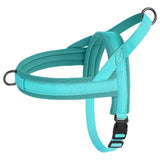 Luxe Padded Nylon Adjustable Harness & Lead Set - Nylon | PAWD