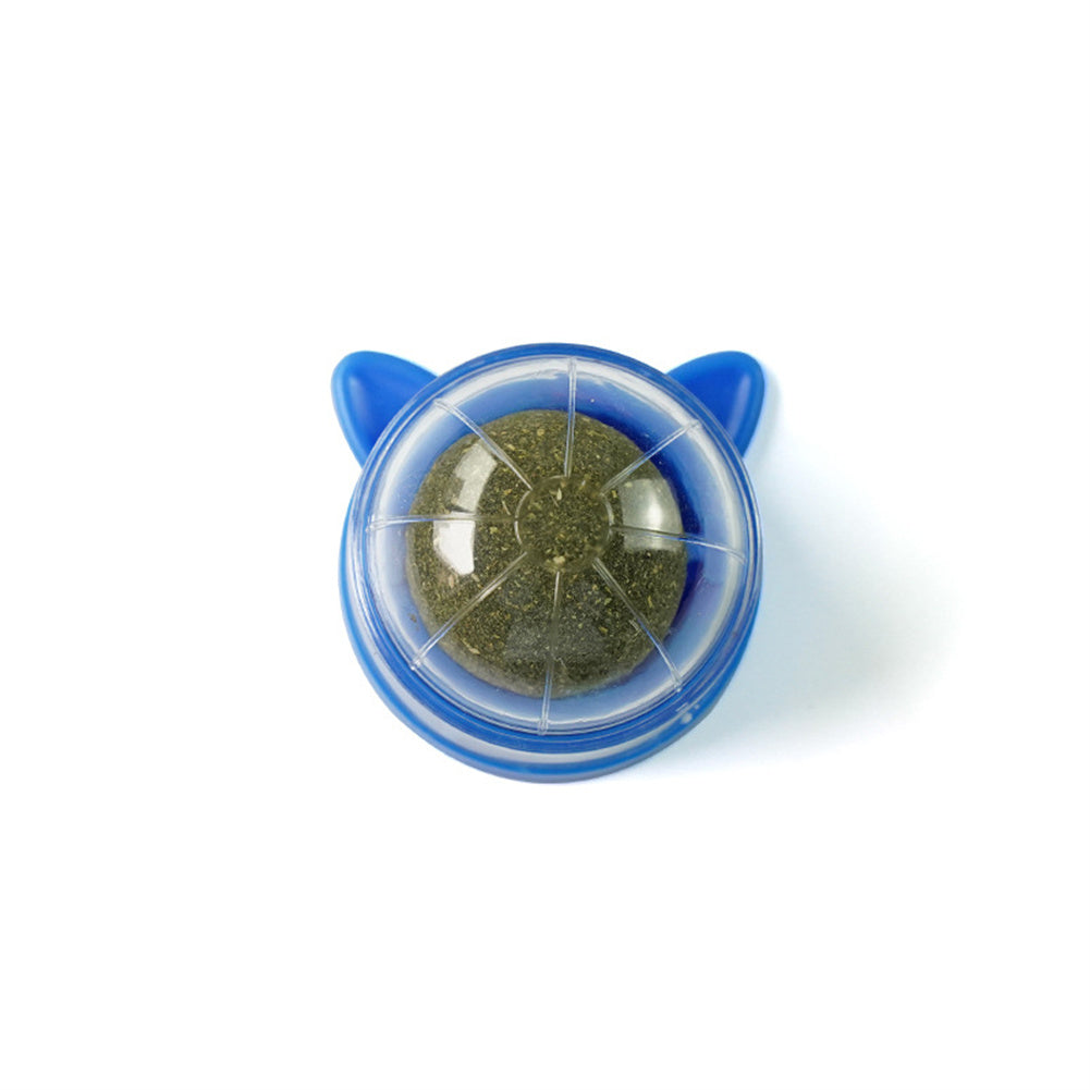 Minty Fresh Wall Ball - 2