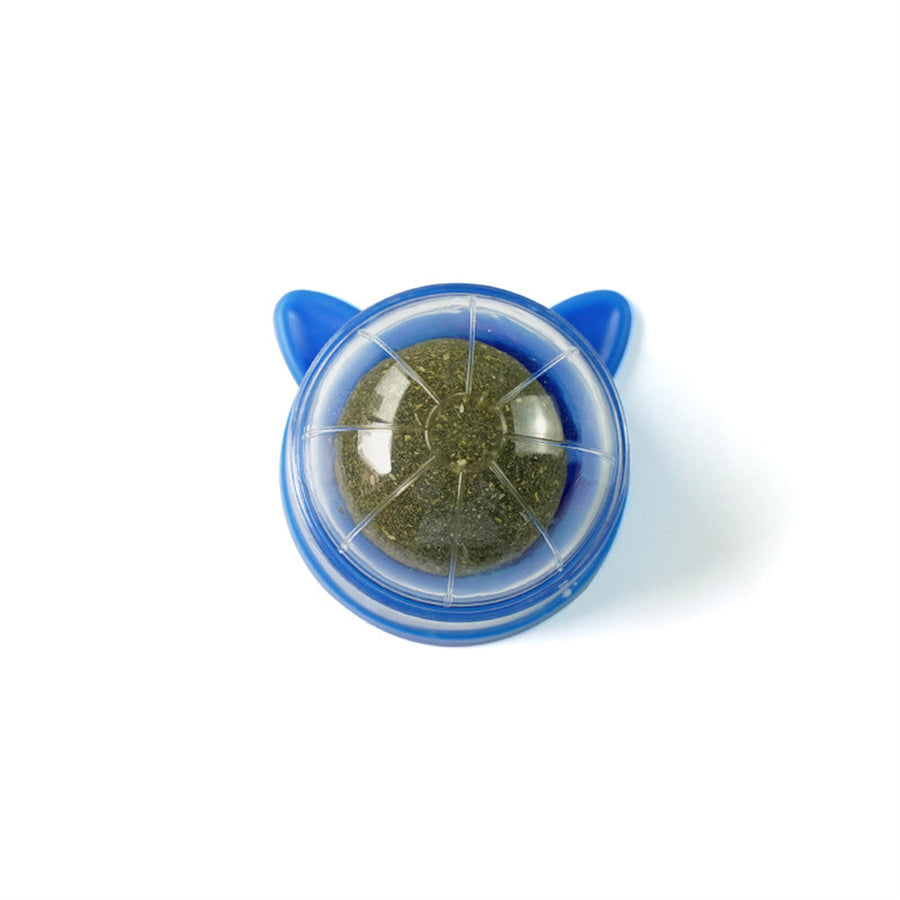 Minty Fresh Wall Ball - 2