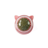 Minty Fresh Wall Ball - 3