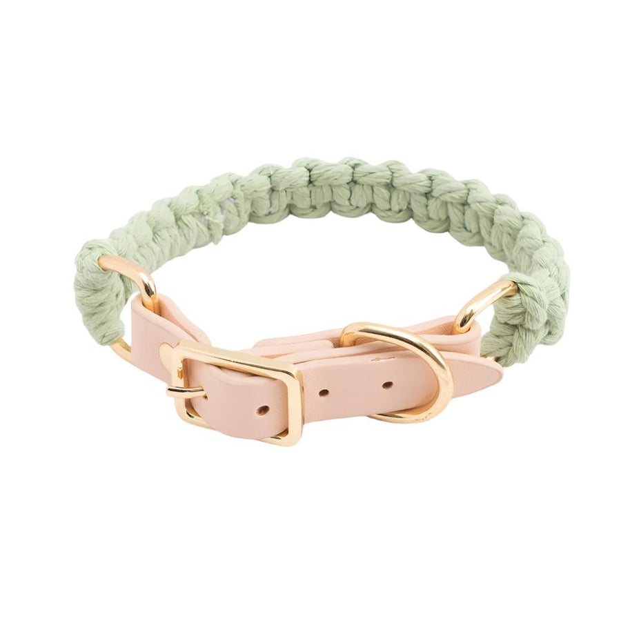 Pastel Braided Rope Handknit Dog Collar - detail close-up