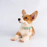 Pastel Leather Dog Collar - Pastel Leather | PAWD