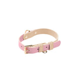 Deluxe Pastel Genuine Leather Dog Collar - lifestyle