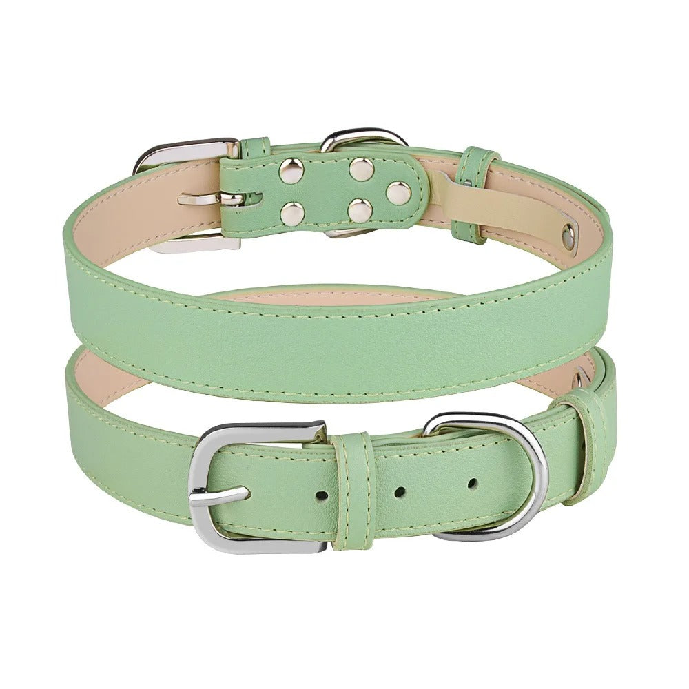 Pastel Plain PU Leather Dog Collar - Pastel Leather | PAWD
