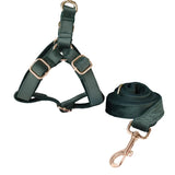 Emerald Green Flannelette Dog Harness (Personalised) - in use