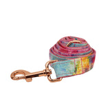 Rainbow Collar with Bow Tie & Lead Set (Personalised) - in use