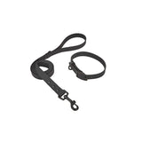 Pastel Collar & Lead Set - Pastel | PAWD