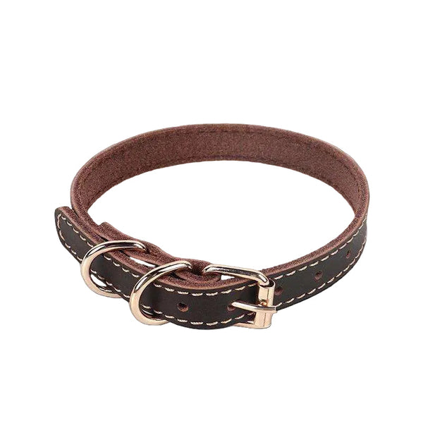 Saddle Cowhide Leather Dog & Cat Collar - front view