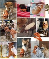 Squeaky Fleece Plush Indestructible - 10