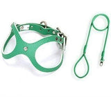 Leather Vest Harness & Lead Set - top view