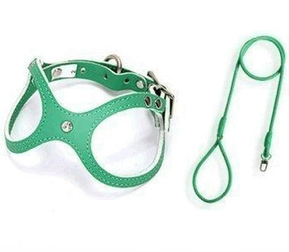 Leather Vest Harness & Lead Set - top view