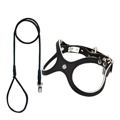 Leather Vest Harness & Lead Set - Leather | PAWD