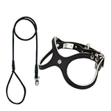 Leather Vest Harness & Lead Set - Leather | PAWD