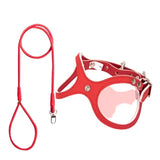 Leather Vest Harness & Lead Set - Leather | PAWD