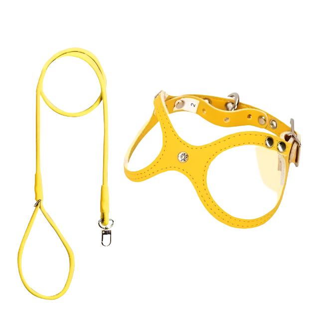 Leather Vest Harness & Lead Set - Leather | PAWD