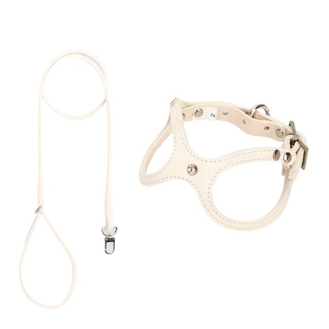 Leather Vest Harness & Lead Set - Leather | PAWD
