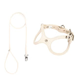 Leather Vest Harness & Lead Set - Leather | PAWD