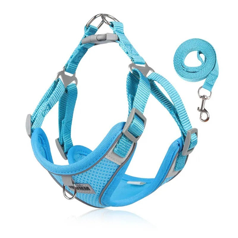 VentriGuard Reflective Dog Vest & Lead Set - in use