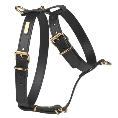 Vintage Patterned Embroidered Dog Harness Set