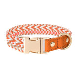 Classic Webbing Leather Dog Collar - detail close-up