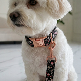 Botanical Nylon Collar - Blossom Print