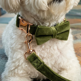 Olive Collar - Green Velvet
