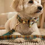 Tailored Checkered Pattern Engraving