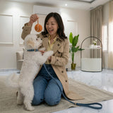 Dessert Collar - Leather Weave