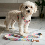 Rainbow Love Detachable Bow