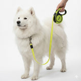 Classic Retractable Leash - 5M Reach