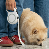 Classic Retractable Leash - 5M Reach